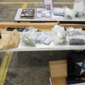 seized drugs DTF